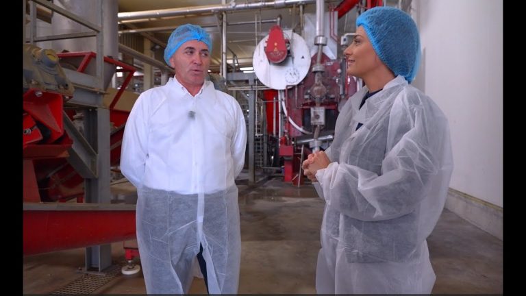 Episodul 14. Nimic nu se pierde. Totul se transformă